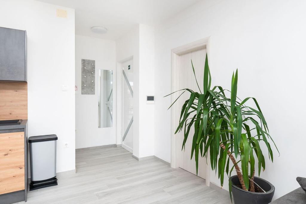 Apartments Grubisic - Sibenik - Parking Included ภายนอก รูปภาพ